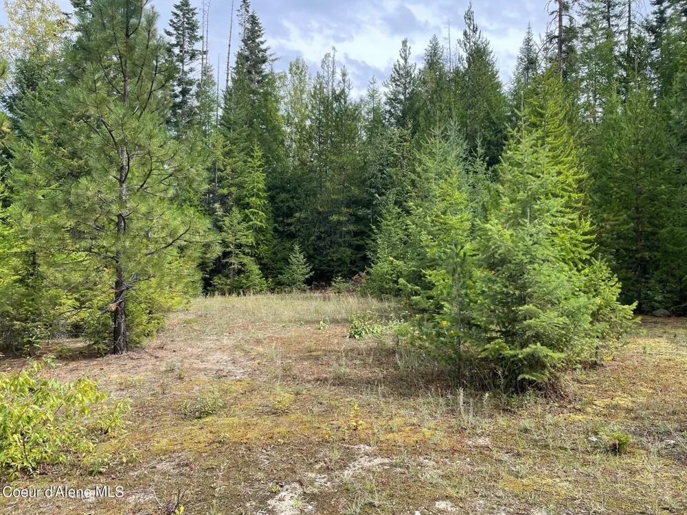 NKA 20-AC Schneiders Road Sagle, ID 83860