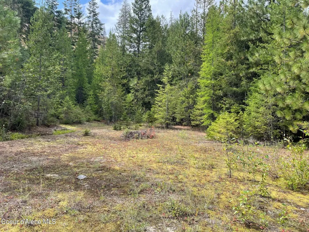 NKA 20-AC Schneiders Road Sagle, ID 83860