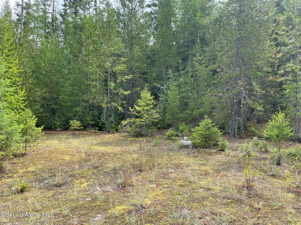 NKA 20-AC Schneiders Road Sagle, ID 83860