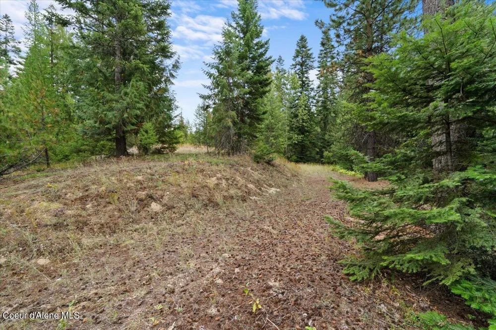 NKA 20-AC Schneiders Road Sagle, ID 83860