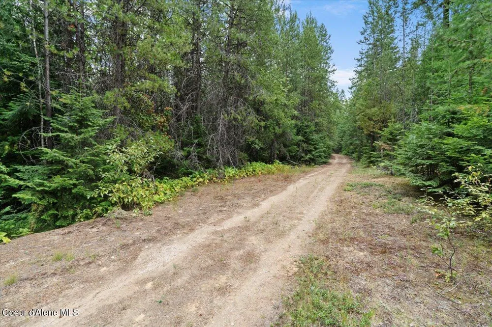 NKA 20-AC Schneiders Road Sagle, ID 83860