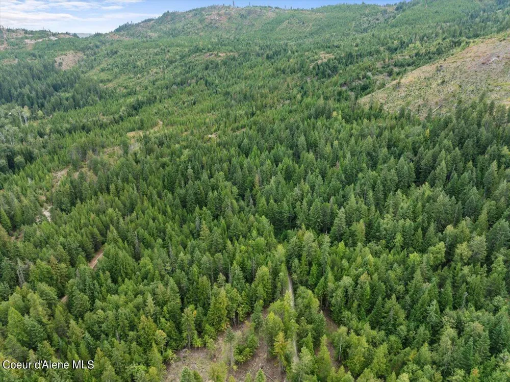 NKA 20-AC Schneiders Road Sagle, ID 83860