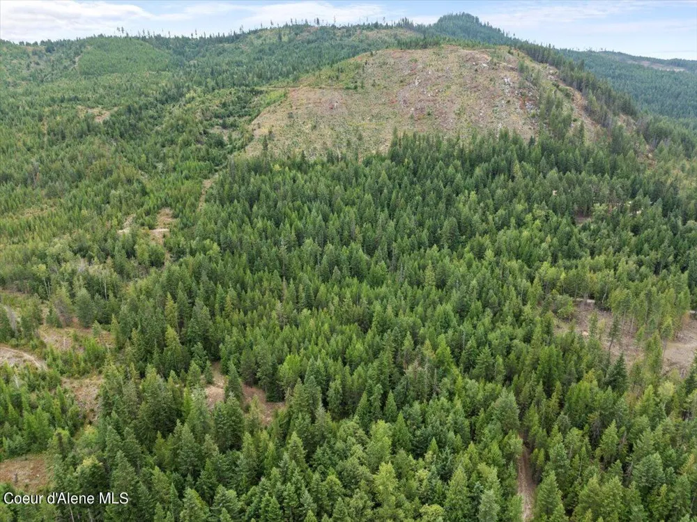 NKA 20-AC Schneiders Road Sagle, ID 83860