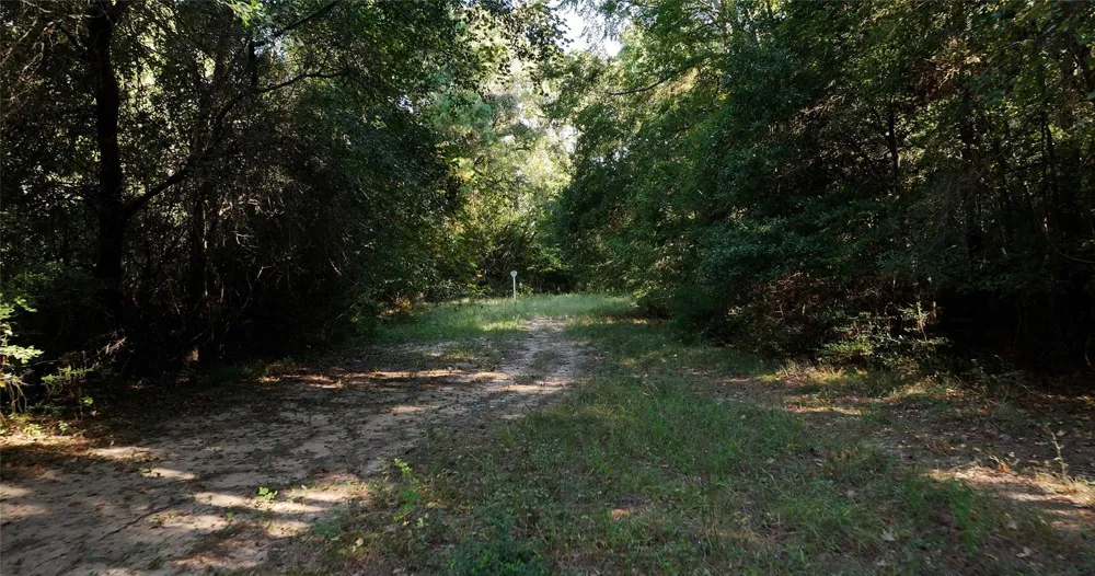 Pearson Rd Montgomery, TX 77356