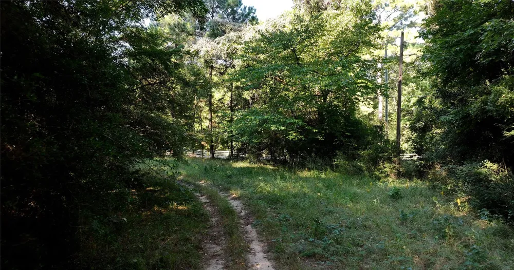Pearson Rd Montgomery, TX 77356
