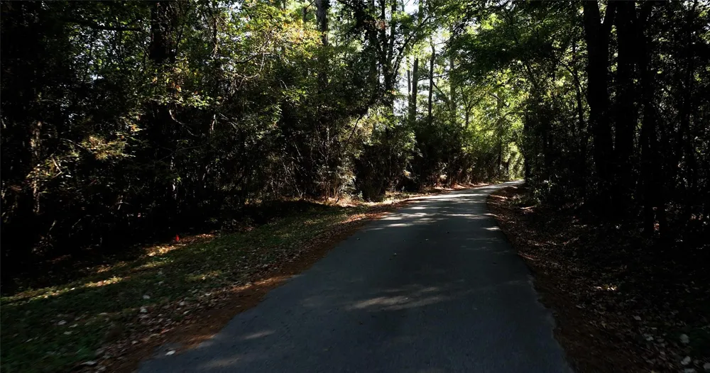 Pearson Rd Montgomery, TX 77356