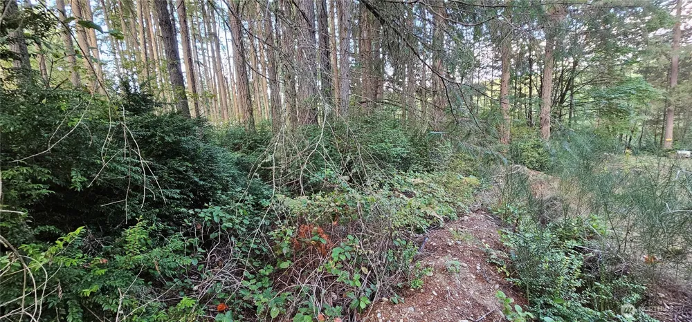 10115 Edgewood Drive Anderson Island, WA 98303