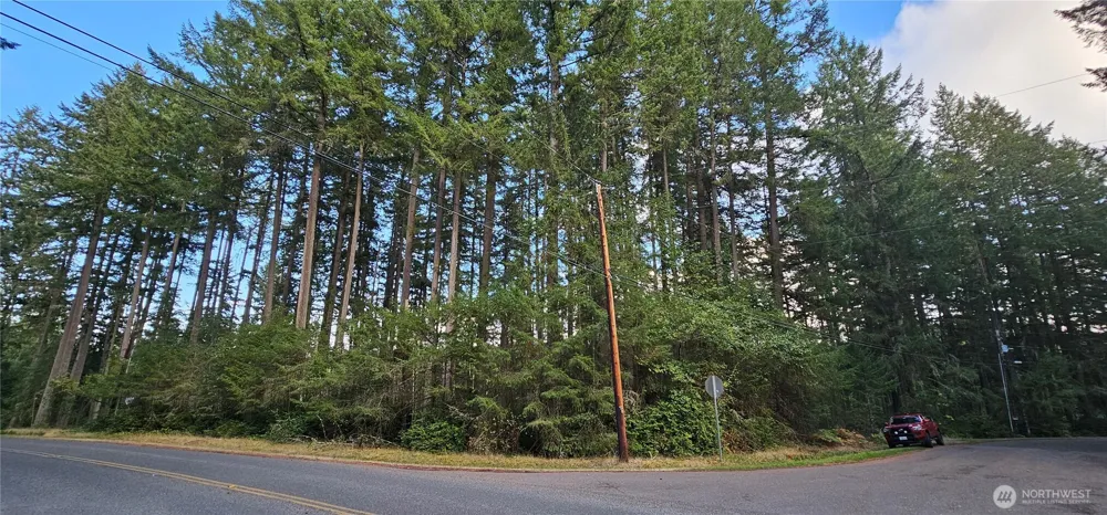 10115 Edgewood Drive Anderson Island, WA 98303