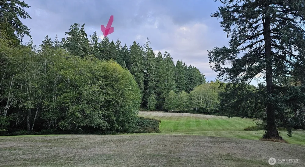 10115 Edgewood Drive Anderson Island, WA 98303