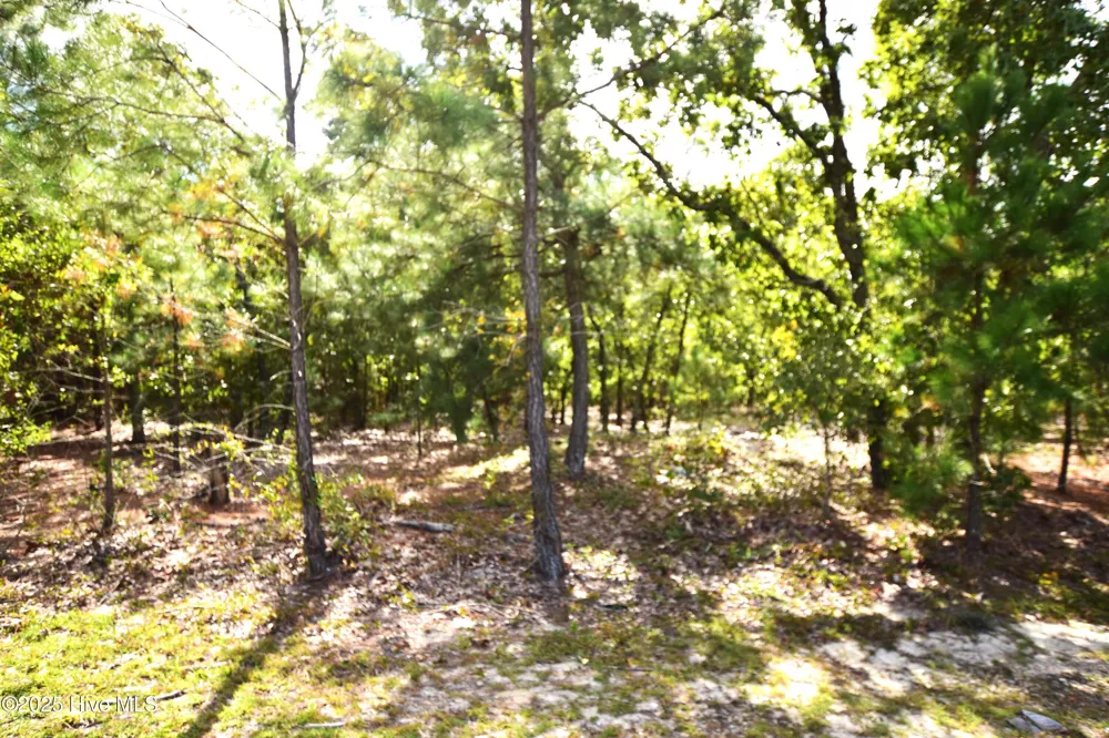 1035 Mill Road Jackson Springs, NC 27281