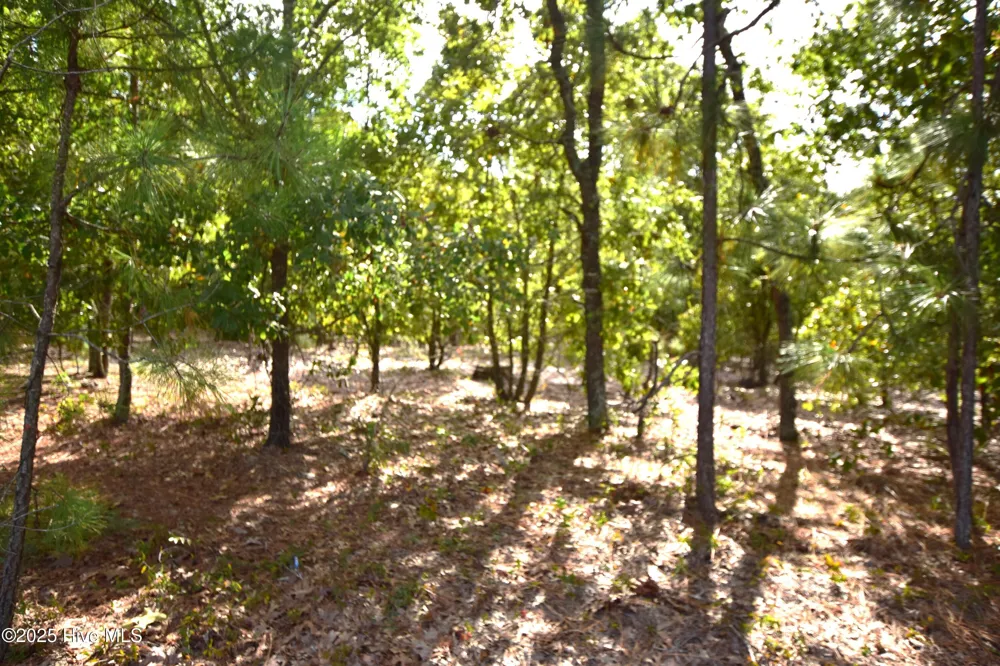 1035 Mill Road Jackson Springs, NC 27281