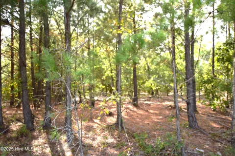 1035 Mill Road