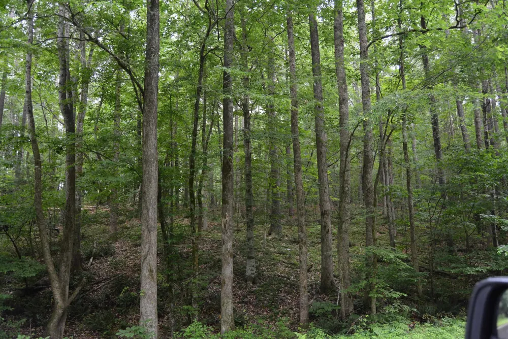 0 Tom Wright Road Franklinton, NC 27525