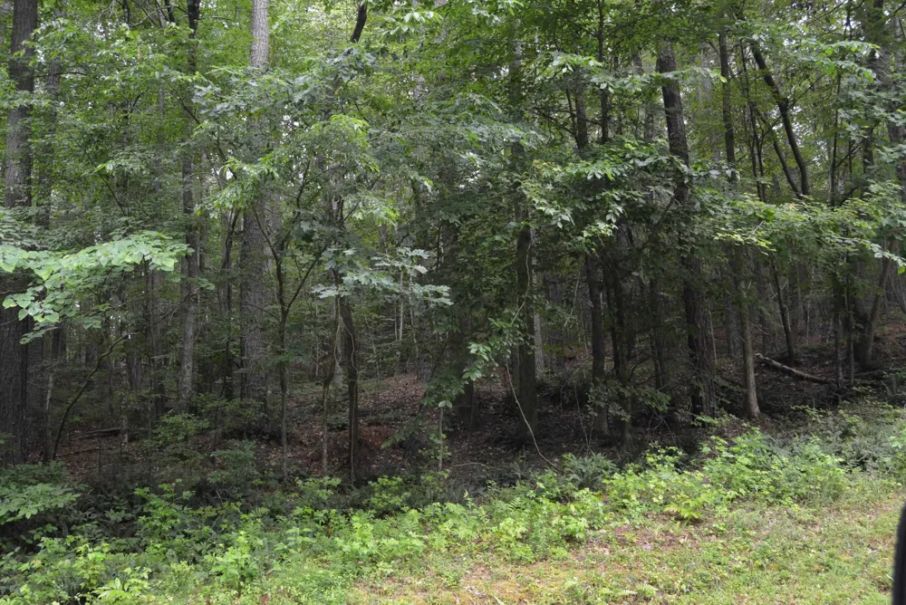 0 Tom Wright Road Franklinton, NC 27525