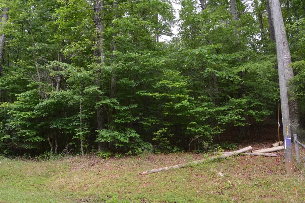 0 Tom Wright Road Franklinton, NC 27525