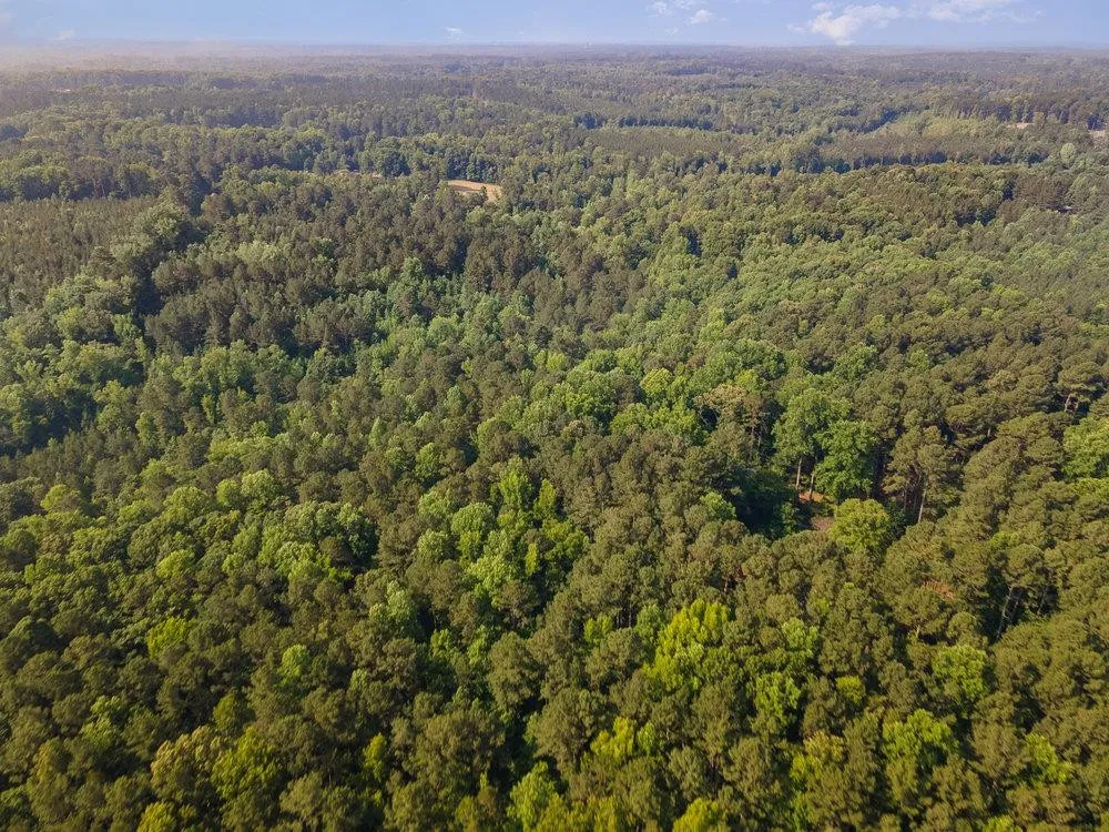 0 Tom Wright Road Franklinton, NC 27525