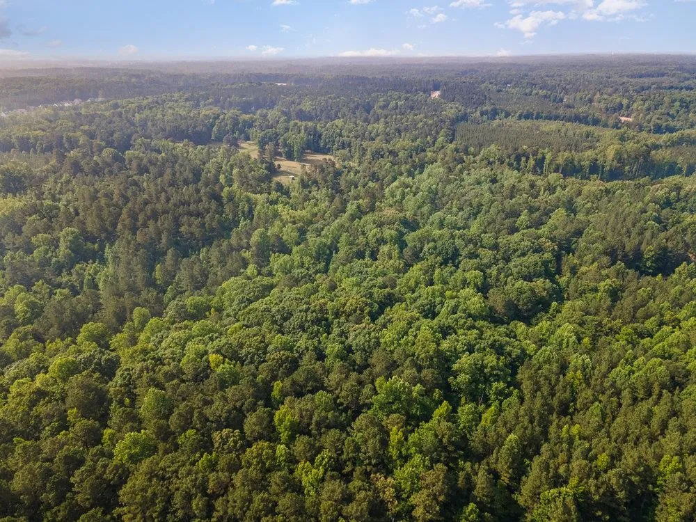 0 Tom Wright Road Franklinton, NC 27525