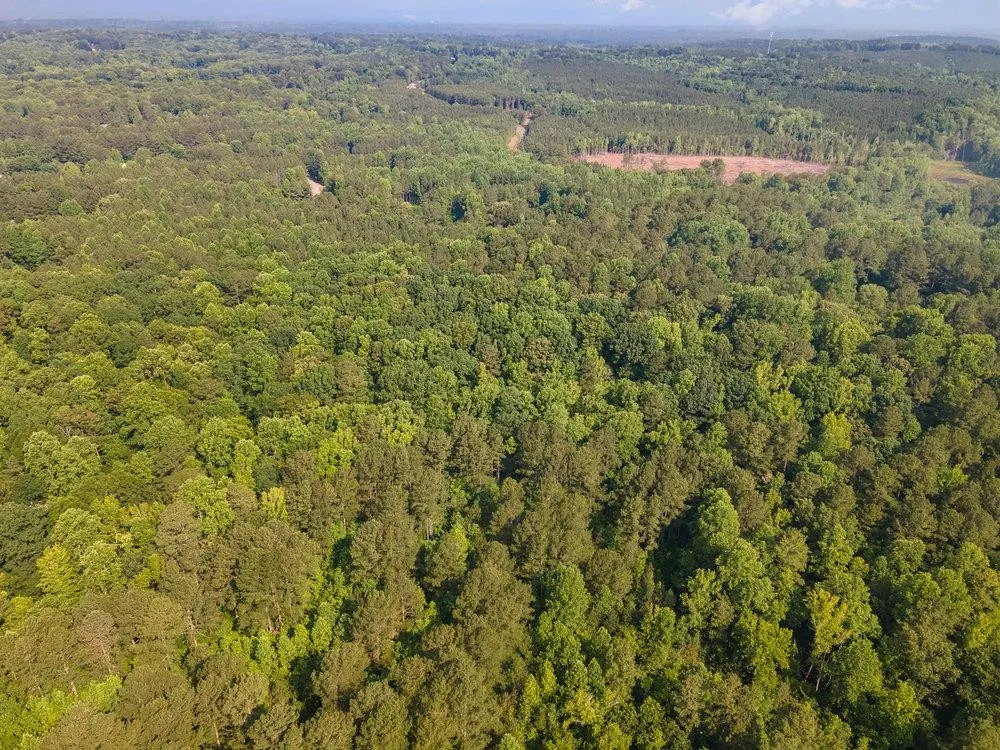 0 Tom Wright Road Franklinton, NC 27525