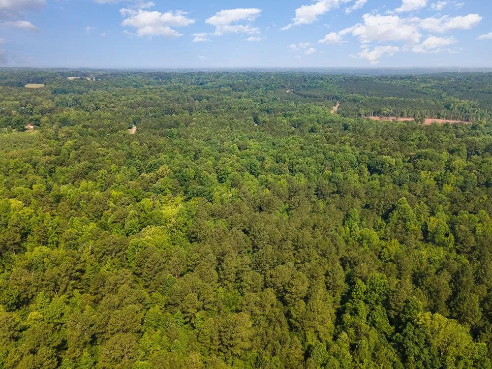 0 Tom Wright Road Franklinton, NC 27525