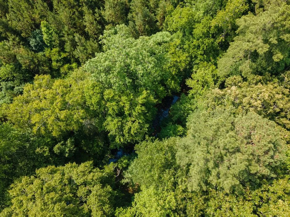 0 Tom Wright Road Franklinton, NC 27525