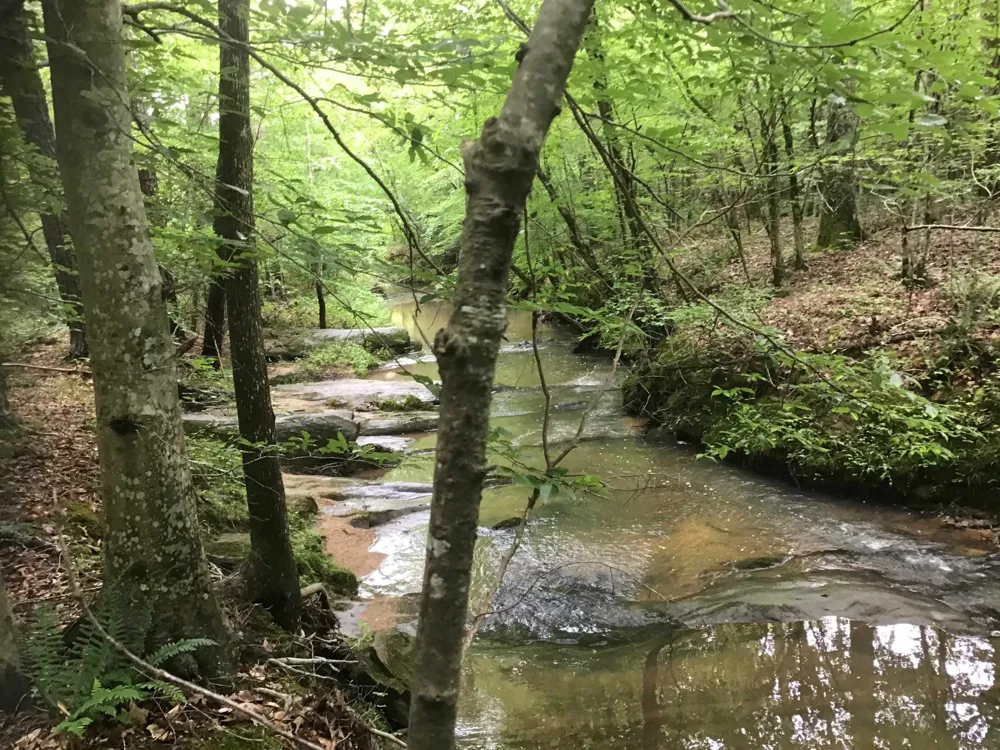 0 Tom Wright Road Franklinton, NC 27525