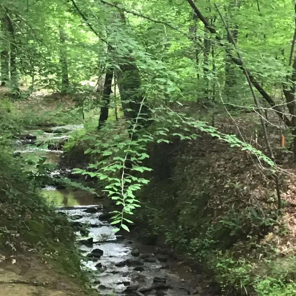 0 Tom Wright Road Franklinton, NC 27525