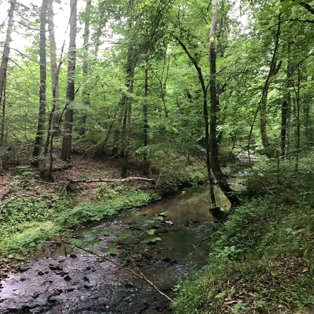 0 Tom Wright Road Franklinton, NC 27525