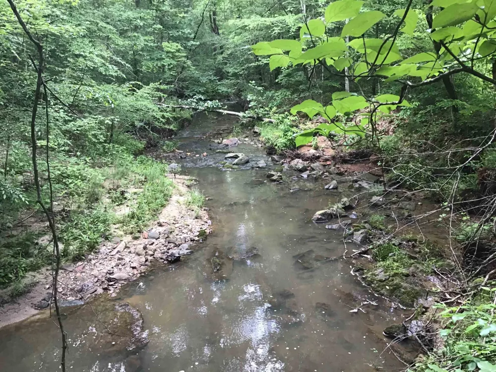 0 Tom Wright Road Franklinton, NC 27525