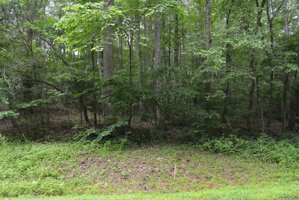 0 Tom Wright Road Franklinton, NC 27525
