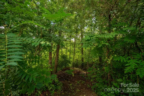 Lot 34 Line Drive