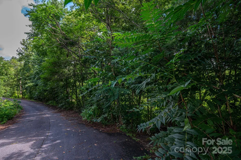Lot 34 Line Drive Forest City, NC 28043