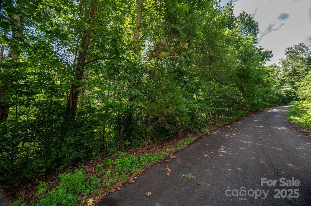 Lot 34 Line Drive Forest City, NC 28043