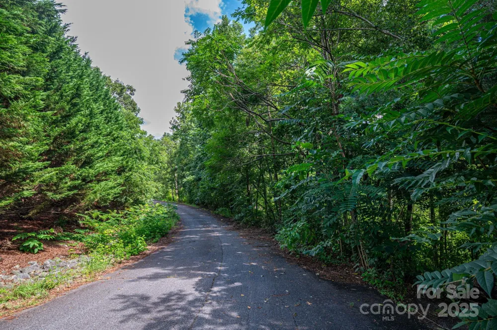 Lot 34 Line Drive Forest City, NC 28043