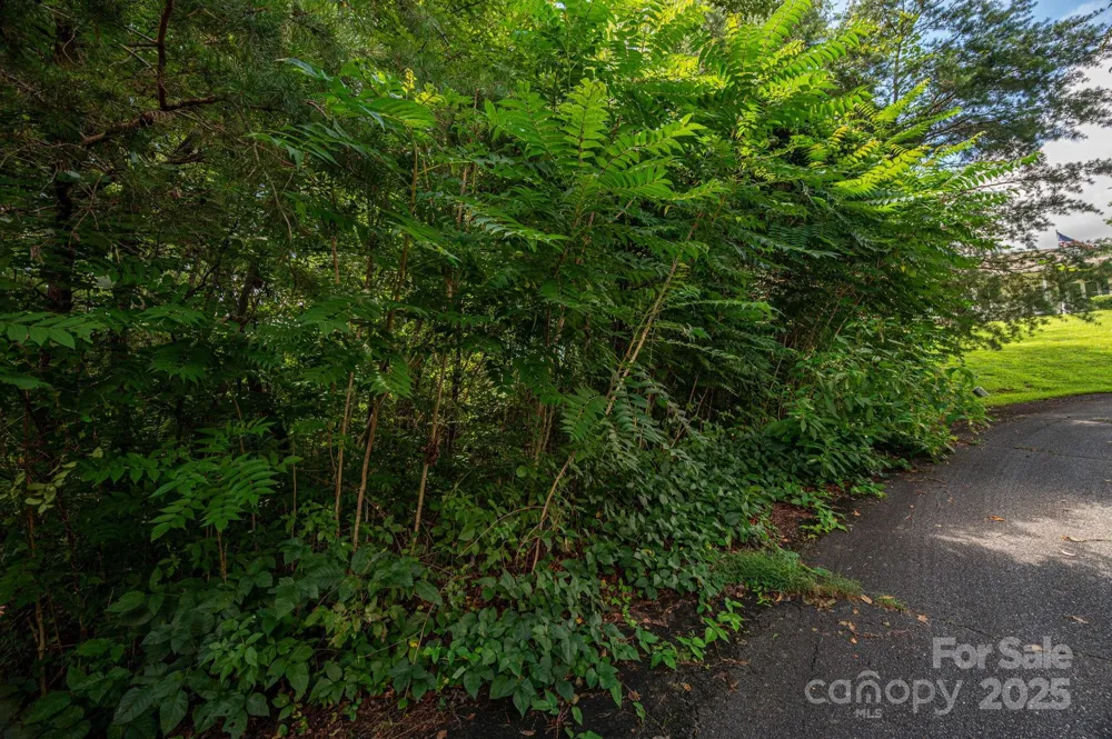 Lot 19 Line Drive Forest City, NC 28043