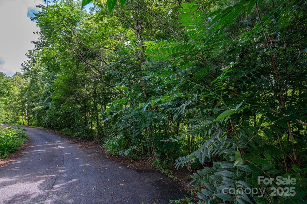 Lot 19 Line Drive Forest City, NC 28043