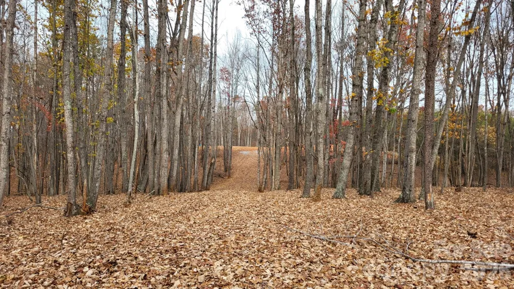 1056 Stephens Trail Road Sandy Ridge, NC 27046