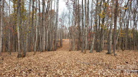 1056 Stephens Trail Road