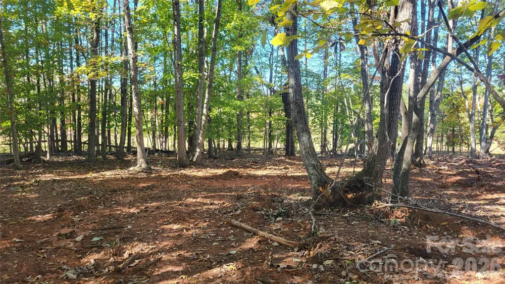 1056 Stephens Trail Road Sandy Ridge, NC 27046