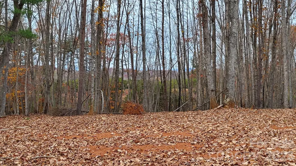1056 Stephens Trail Road Sandy Ridge, NC 27046