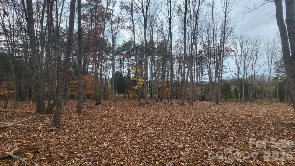1056 Stephens Trail Road Sandy Ridge, NC 27046