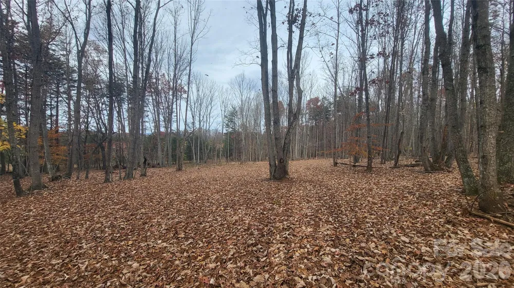 1056 Stephens Trail Road Sandy Ridge, NC 27046