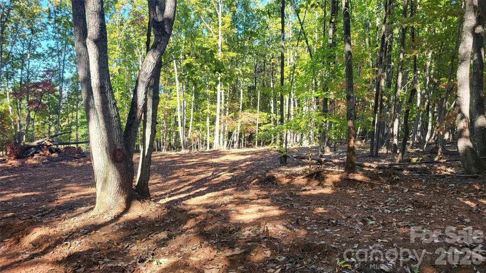 1056 Stephens Trail Road Sandy Ridge, NC 27046
