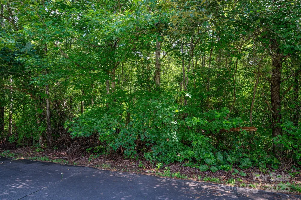 Lot 32 Line Drive Forest City, NC 28043