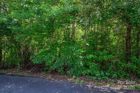 Lot 32 Line Drive