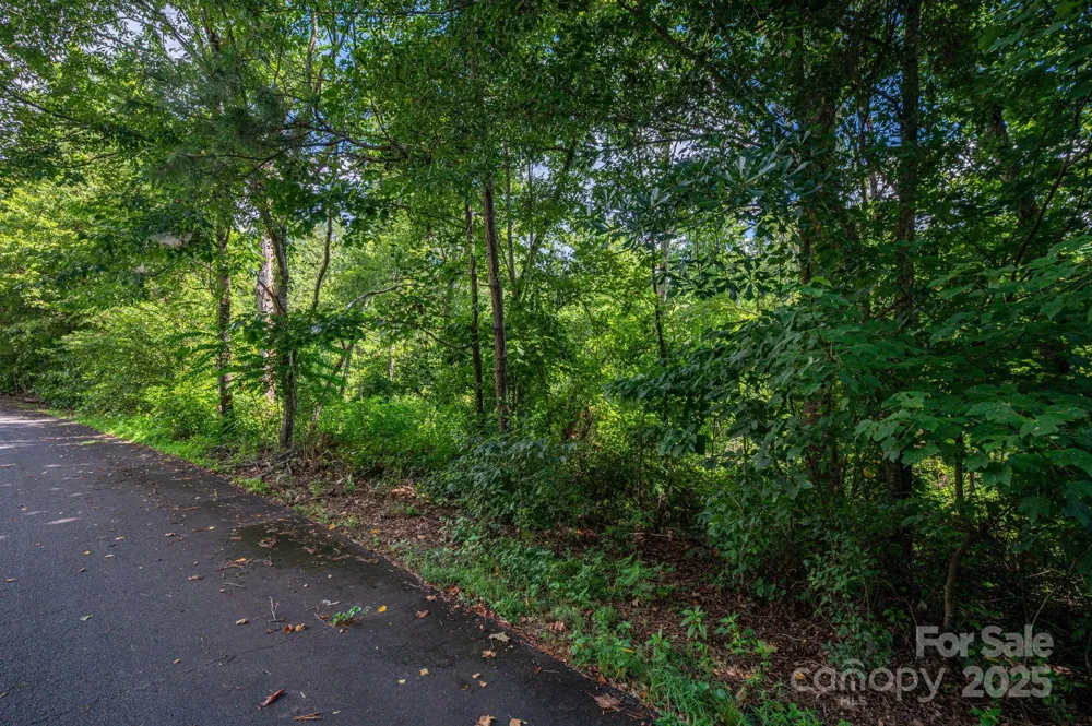 Lot 32 Line Drive Forest City, NC 28043