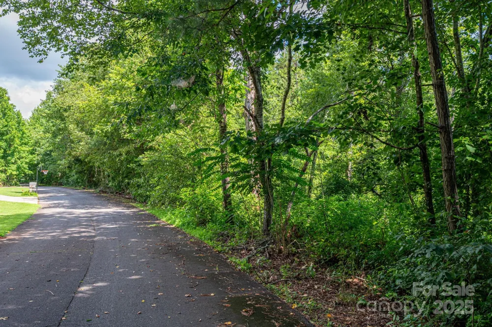 Lot 32 Line Drive Forest City, NC 28043