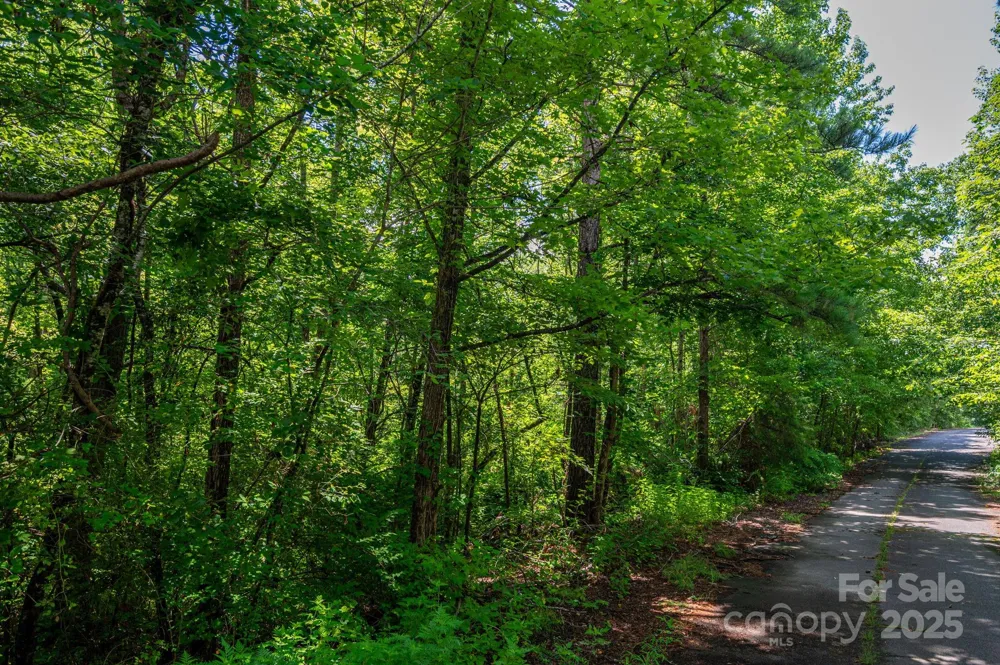 Lot 31 Line Drive Forest City, NC 28043