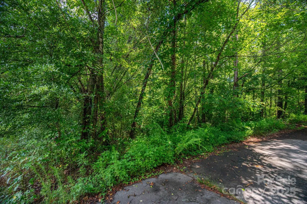 Lot 31 Line Drive Forest City, NC 28043