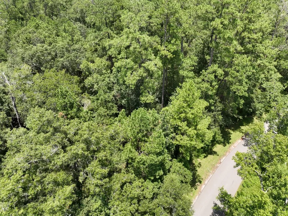 1 County Road 821 Mauriceville, TX 77612