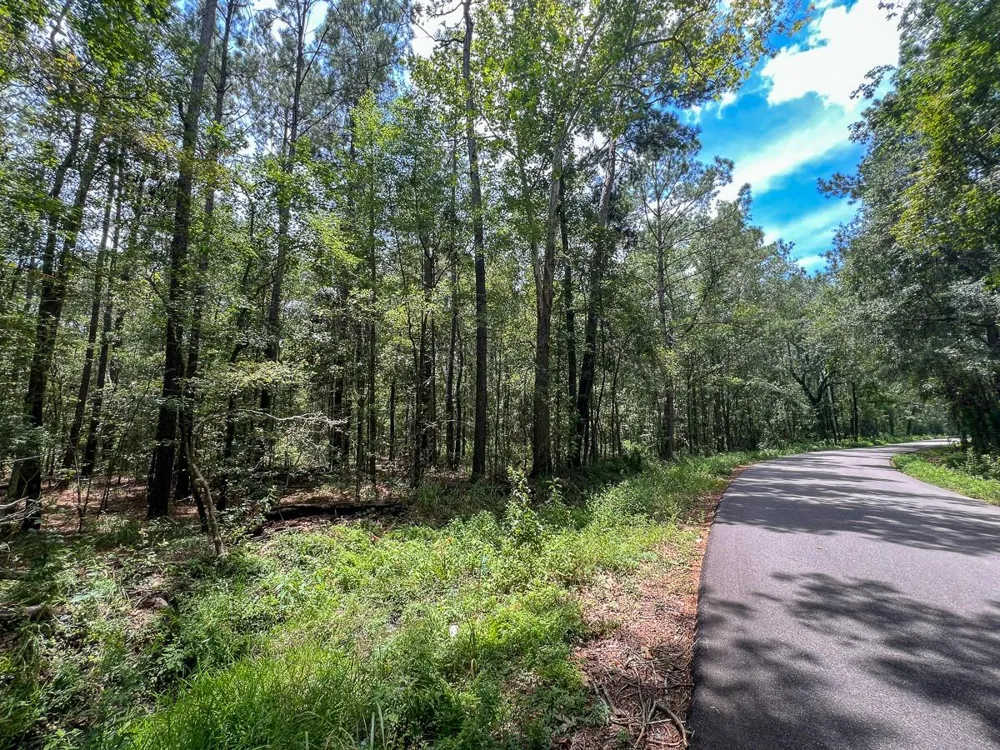 2 County Road 821 Mauriceville, TX 77612